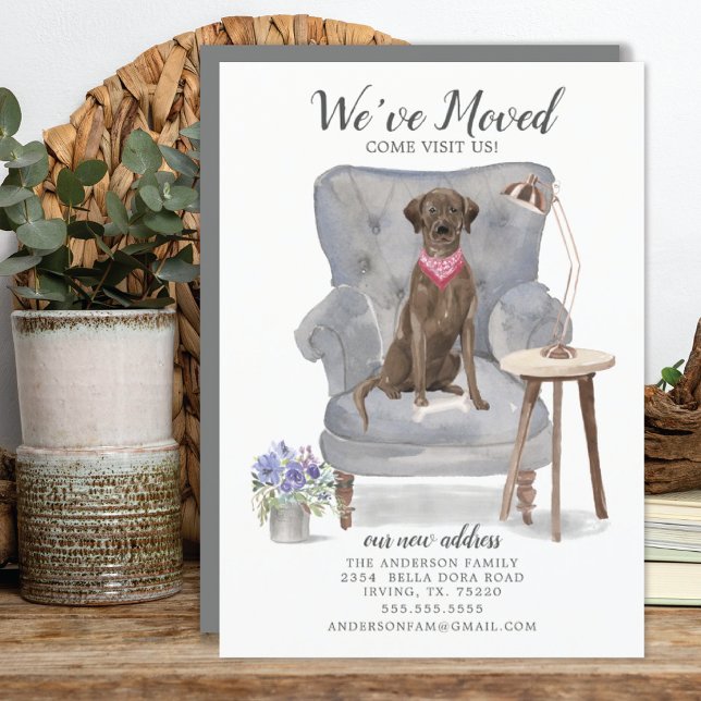 Brown Labrador Retriever Dog | Moving Announcement (Creator Uploaded)