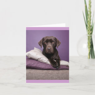 Brown Labrador Retriever Puppy Dog Blank Note Card
