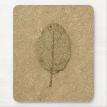 Brown Leaf fossil