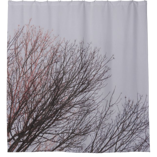 BROWN LEAFLESS TREE UNDER WHITE SKY SHOWER CURTAIN (Front)