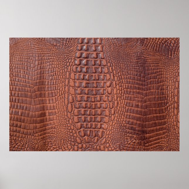 Brown leather texture backgroundabstract,aged,anim poster (Front)