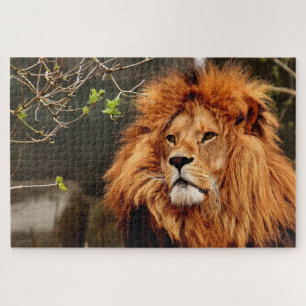 Brown lion face photo jigsaw puzzle