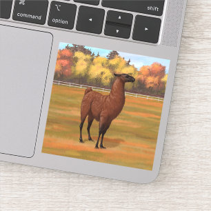 Brown Llama in Autumn Farm Pasture