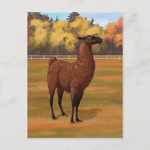 Brown Llama in Autumn Farm Pasture Postcard
