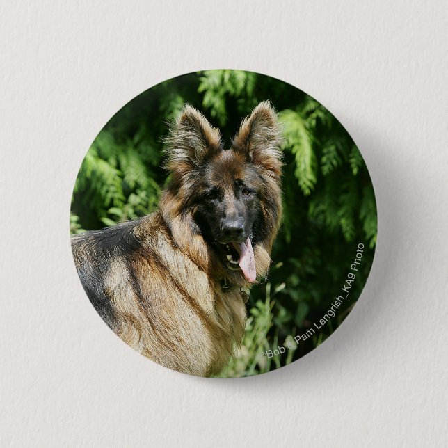 Brown Long Haired German Shepherd 1 6 Cm Round Badge (Front)