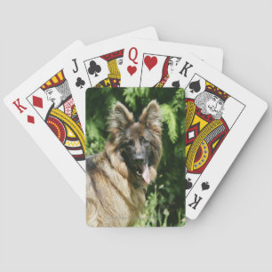 Brown Long Haired German Shepherd 1 Playing Cards