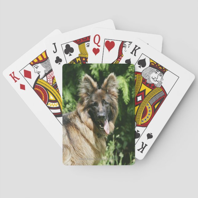 Brown Long Haired German Shepherd 1 Playing Cards (Back)