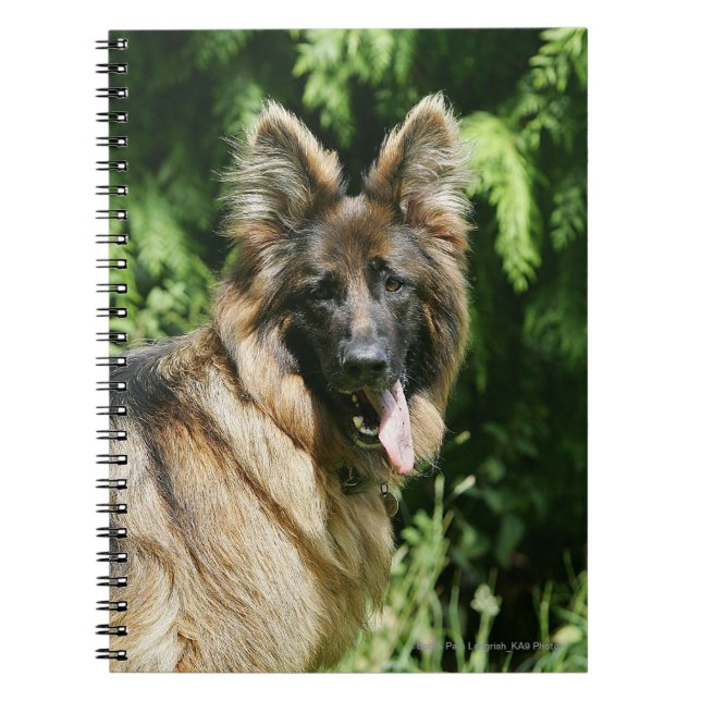 Brown Long Haired German Shepherd 1 Spiral Notebook (Front)