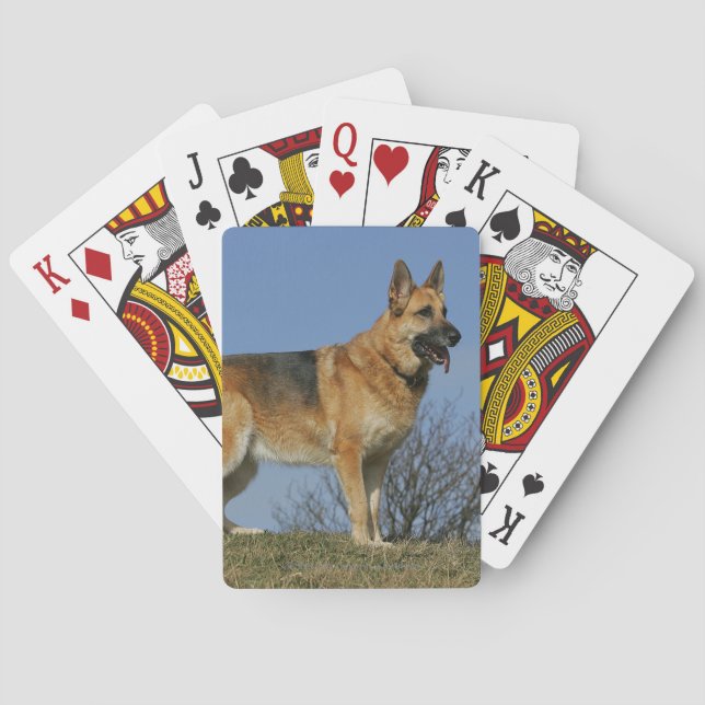 Brown Long Haired German Shepherd 2 Playing Cards (Back)