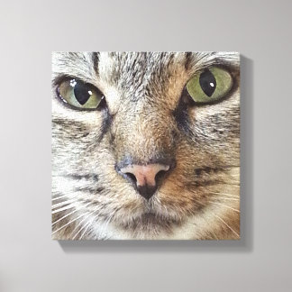 Brown Longhair Tabby Cat Canvas Print