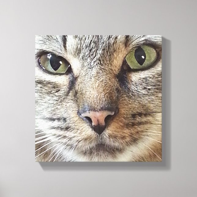 Brown Longhair Tabby Cat Canvas Print (Front)