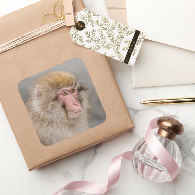 Brown Macaque Portrait Square Sticker (Gifting)
