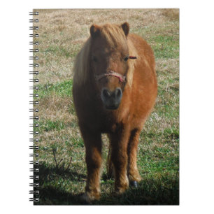 Brown miniature horse spiral notebook