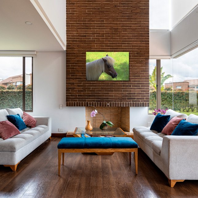 Brown Miniature Horse with Blonde Mane  Canvas Print (Creator Uploaded)