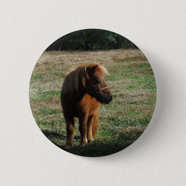 Brown Miniature Horses 6 Cm Round Badge (Front)