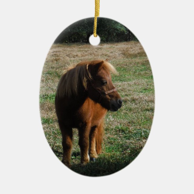 Brown Miniature Horses Ceramic Tree Decoration (Front)