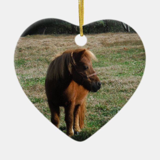 Brown Miniature Horses Ceramic Tree Decoration (Front)