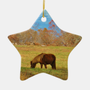 Brown miniature Pony Ceramic Tree Decoration