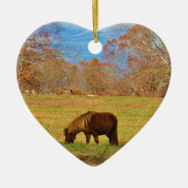 Brown miniature Pony Ceramic Tree Decoration (Front)