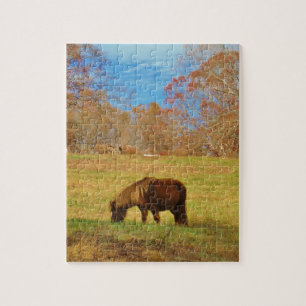Brown miniature Pony Jigsaw Puzzle