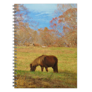 Brown miniature Pony Notebook
