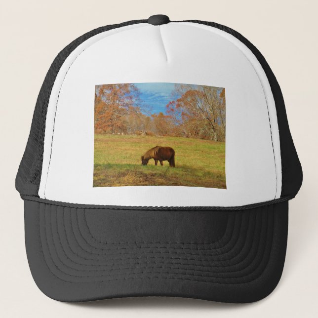 Brown miniature Pony Trucker Hat (Front)