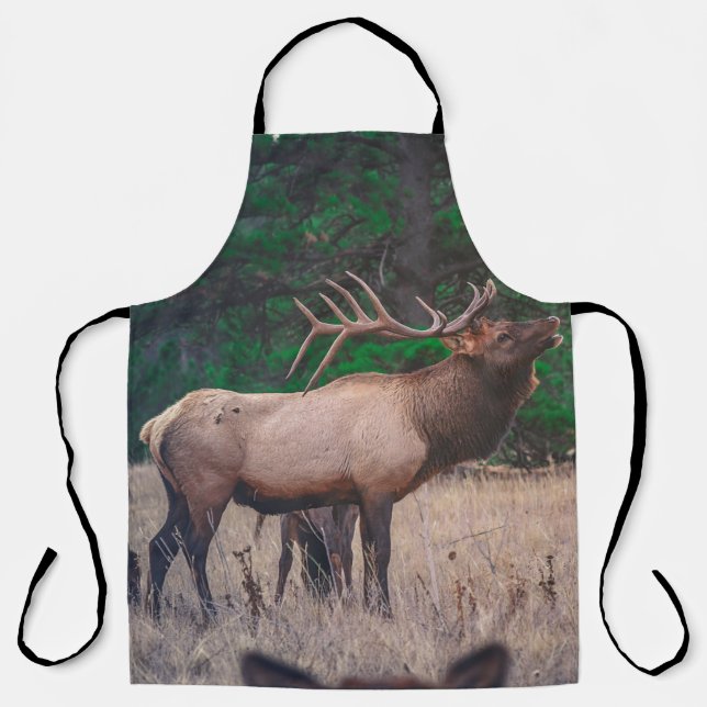 BROWN MOOSE NEAR GREEN TREE AT DAYTIME APRON (Front)