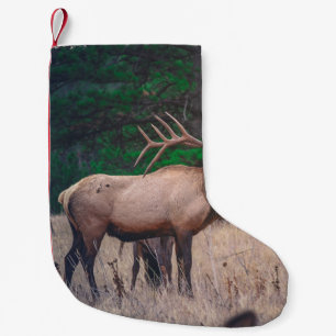 BROWN MOOSE NEAR GREEN TREE AT DAYTIME SMALL CHRISTMAS STOCKING