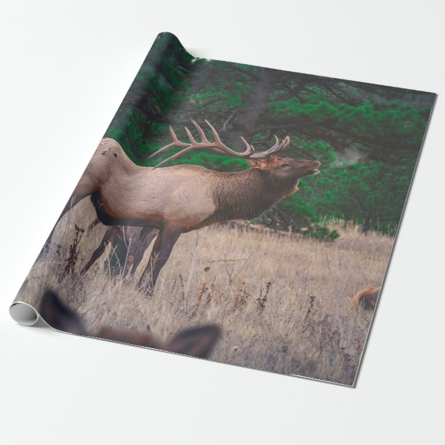 BROWN MOOSE NEAR GREEN TREE AT DAYTIME WRAPPING PAPER (Unrolled)