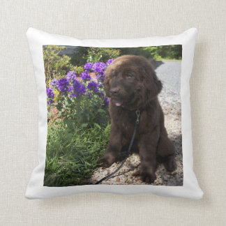 Brown Newfoundland Dog Pup Cushion