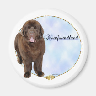 Brown Newfoundland Portrait - Magnet