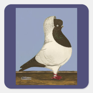 Brown Nun Pigeon Square Sticker