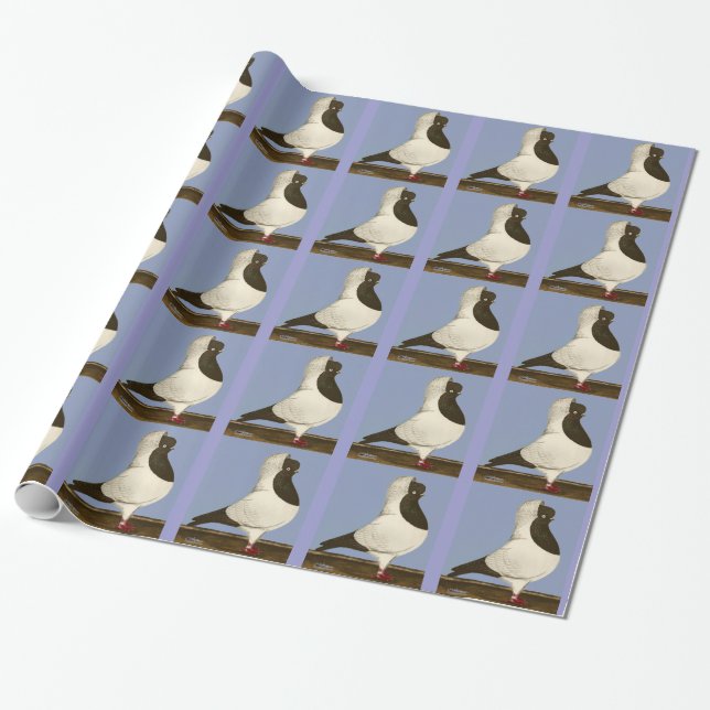 Brown Nun Pigeon Wrapping Paper (Unrolled)