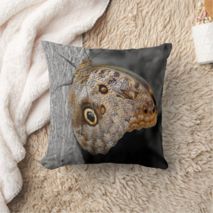 Brown Owl Butterfly Nature  Cushion