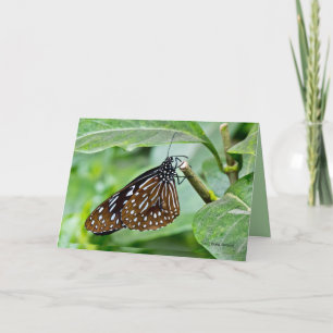 Brown Painted Butterfly Card