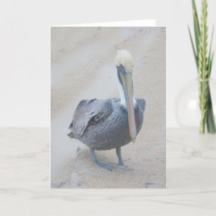 Brown Pelican #1 Note Card