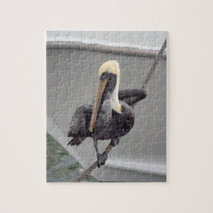 Brown Pelican Balancing on a Rope, Florida Puzzle