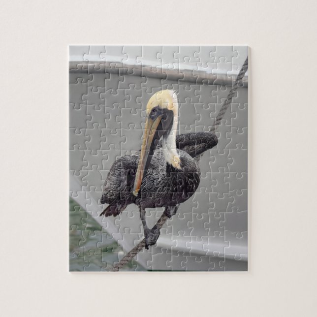 Brown Pelican Balancing on a Rope, Florida Puzzle (Vertical)