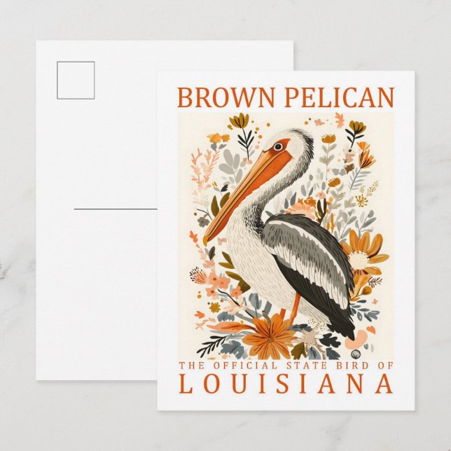 Brown Pelican Bird of Louisiana USA Travel Postcard (Front/Back)