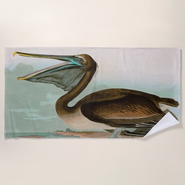 Brown Pelican Birds of America Audubon Print Beach Towel (Front)