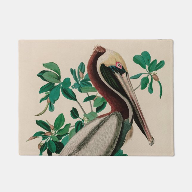 Brown Pelican Birds of America Audubon Print Doormat (Front)