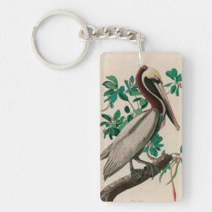 Brown Pelican Birds of America Audubon Print Key Ring