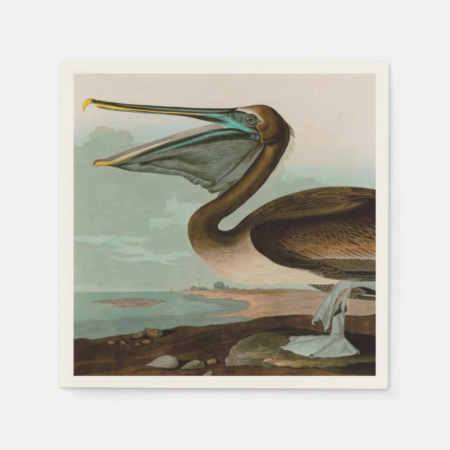 Brown Pelican Birds of America Audubon Print Napkin (Front)