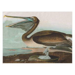 Brown Pelican Birds of America Audubon Print Tablecloth