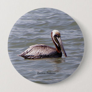 Brown Pelican button