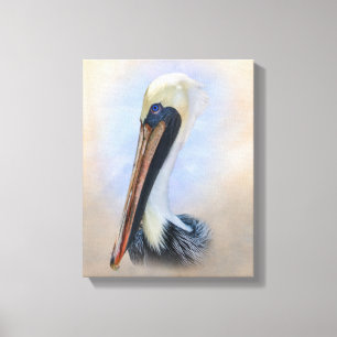 Brown Pelican Canvas Print