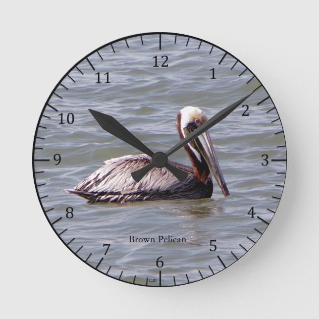 Brown Pelican clock (Front)