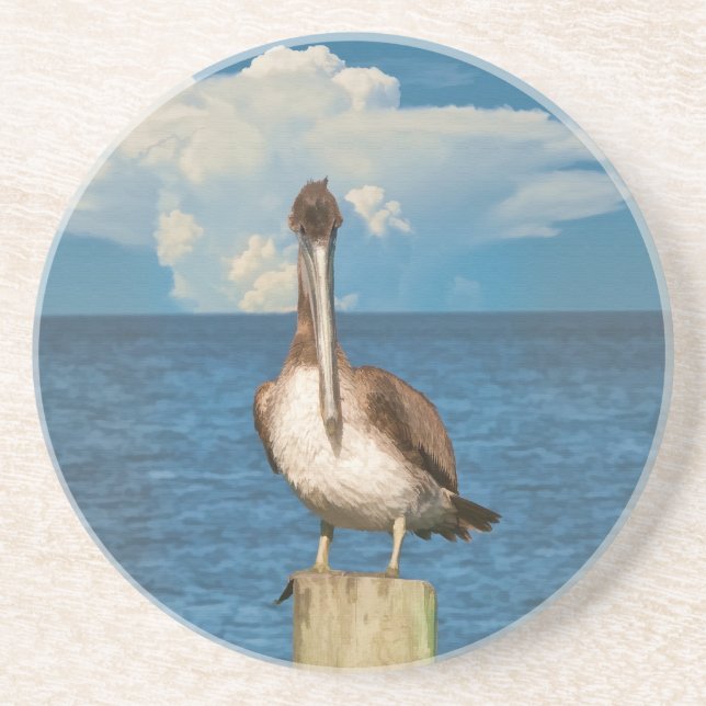 Brown Pelican Coaster (Front)