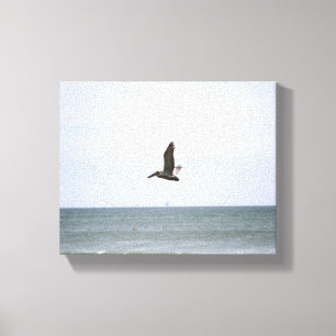 Brown Pelican Flying Over the Ocean Color 8x10 Canvas Print