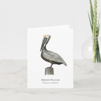 Brown Pelican Folded Note Card
